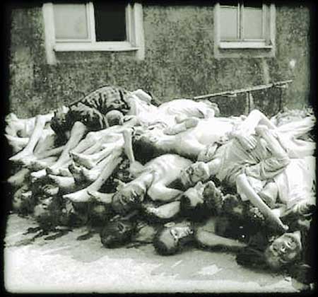 Buchenwald dead