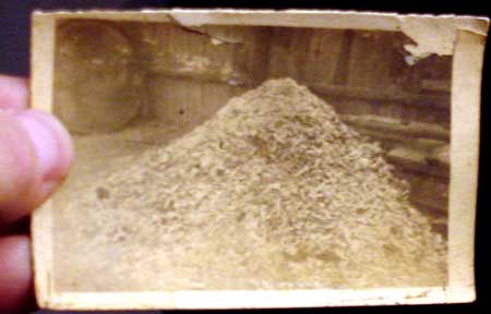 ashes and bones