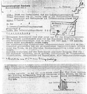 Document facsimile