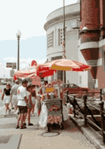 Book_remaindered 6 Hot dogs stands