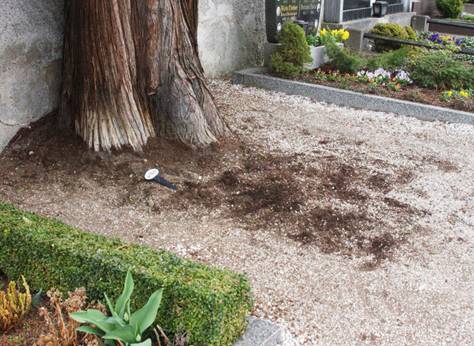 where grave was
