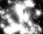 0020