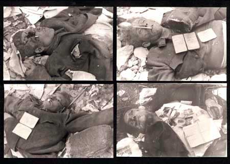 victims