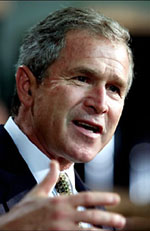 Bush