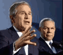 Bush, Powell
