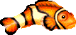 a fish