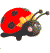 ladybird