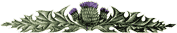 scotsman thistle