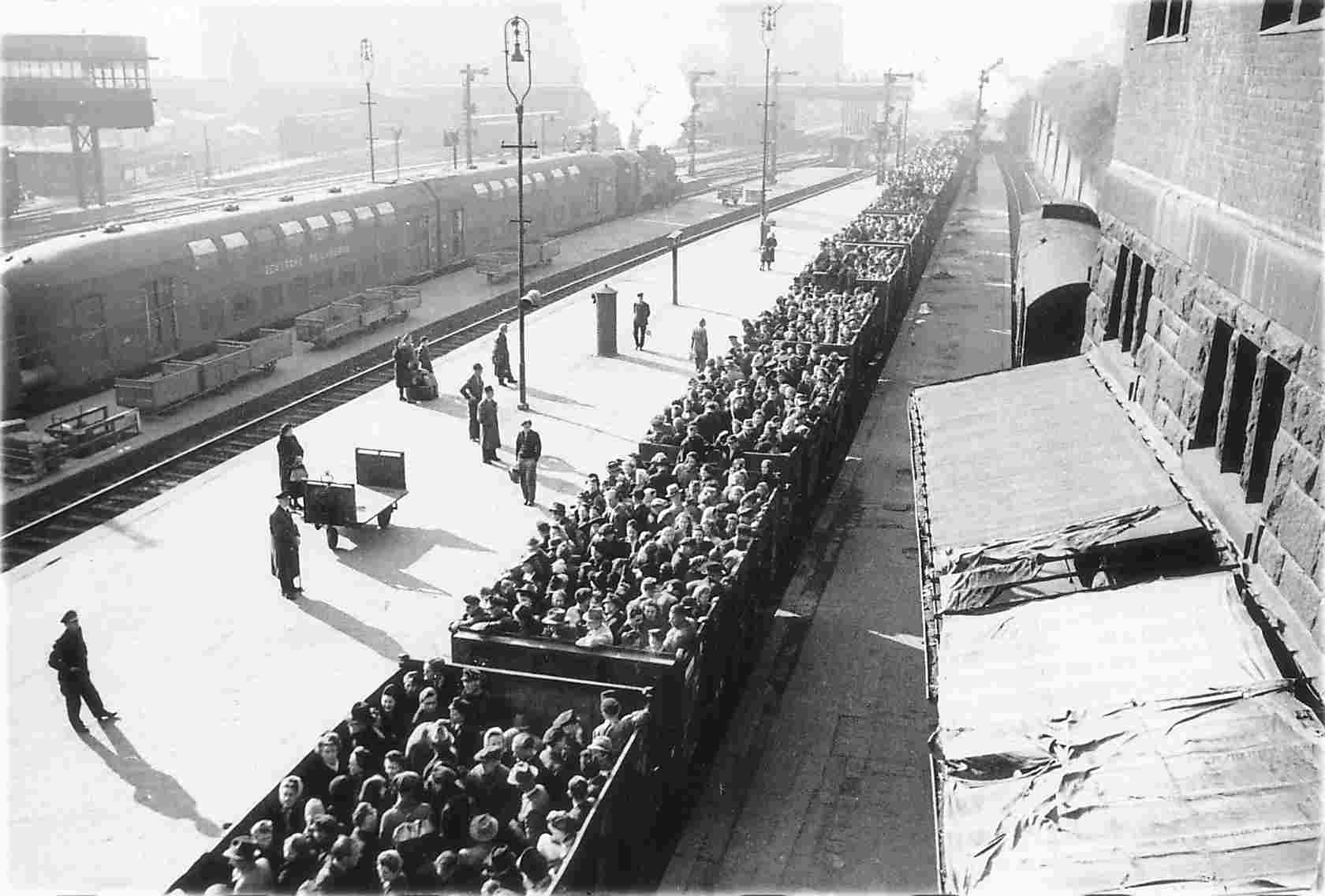 train